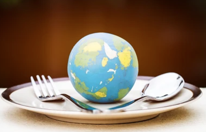 International Support